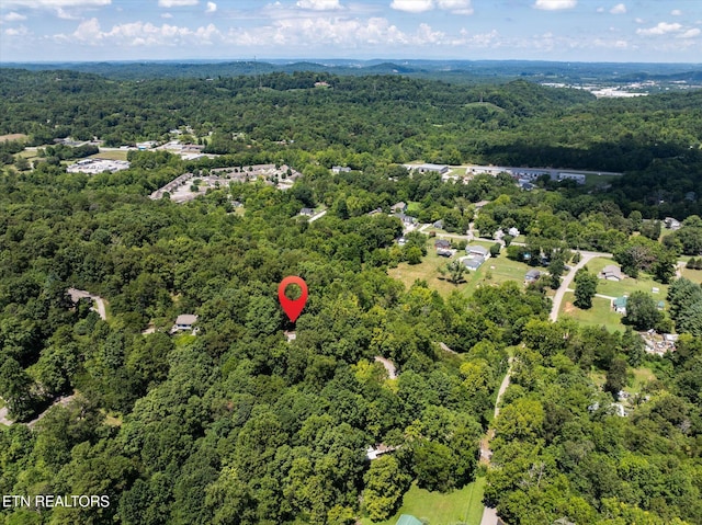 7801 Rollen Rd, Knoxville, TN 37920 - photo 27