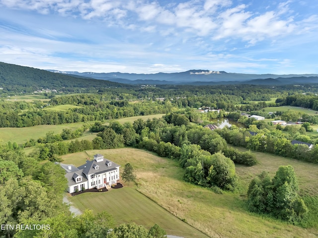 2860 Aaron Branch Way, Sevierville, TN 37876 - photo 52