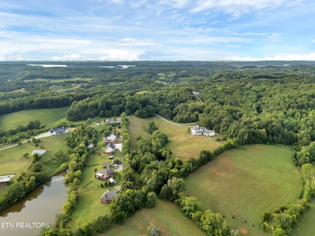 2860 Aaron Branch Way, Sevierville, TN 37876 - photo 53