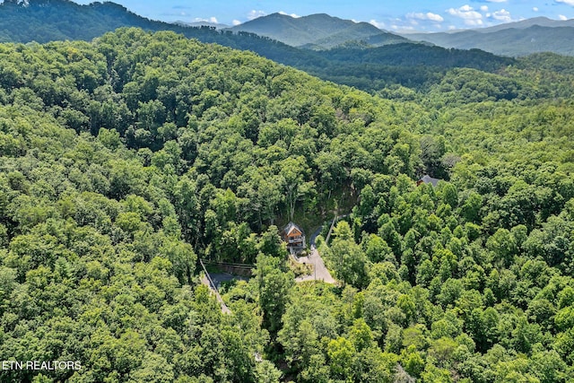 2272 Hidden Hollow Way, Sevierville, TN 37862 - photo 7
