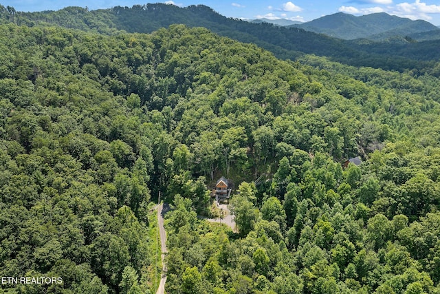 2272 Hidden Hollow Way, Sevierville, TN 37862 - photo 8