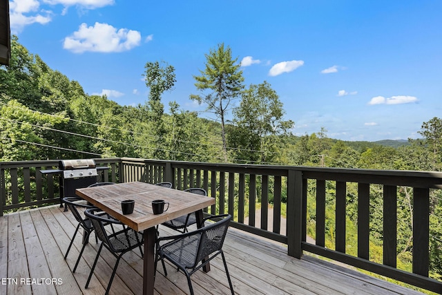2272 Hidden Hollow Way, Sevierville, TN 37862 - photo 40