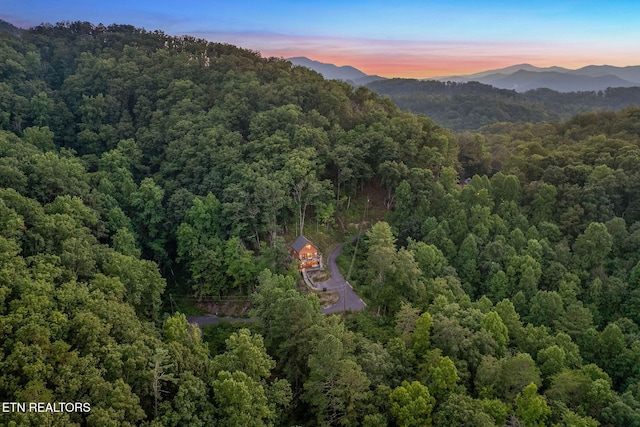 2272 Hidden Hollow Way, Sevierville, TN 37862 - photo 56