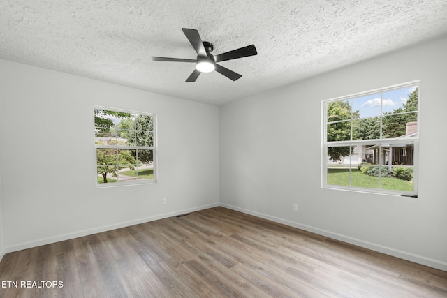 1205 Hoss Rd, Powell, TN 37849 - photo 26