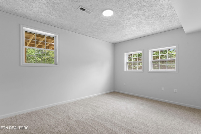 1205 Hoss Rd, Powell, TN 37849 - photo 40