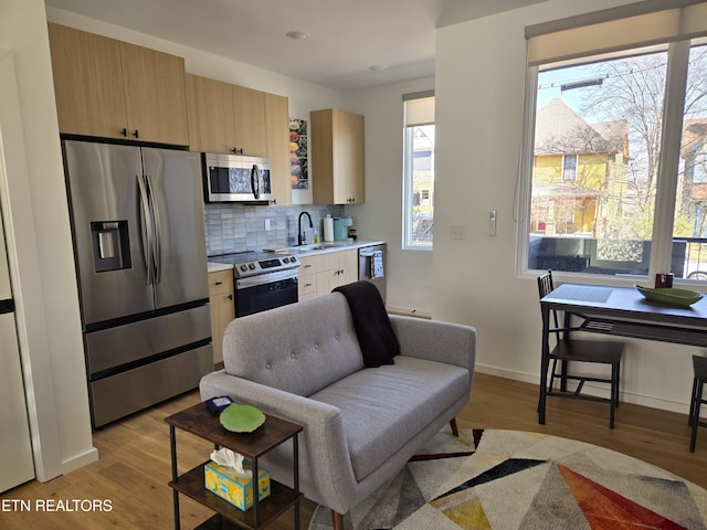 801 N 4th Ave Unit 6, Knoxville, TN 37917 - photo 7