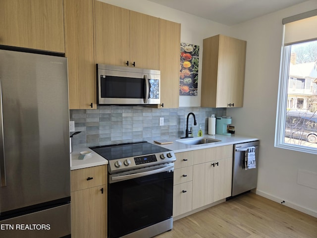801 N 4th Ave Unit 6, Knoxville, TN 37917 - photo 8