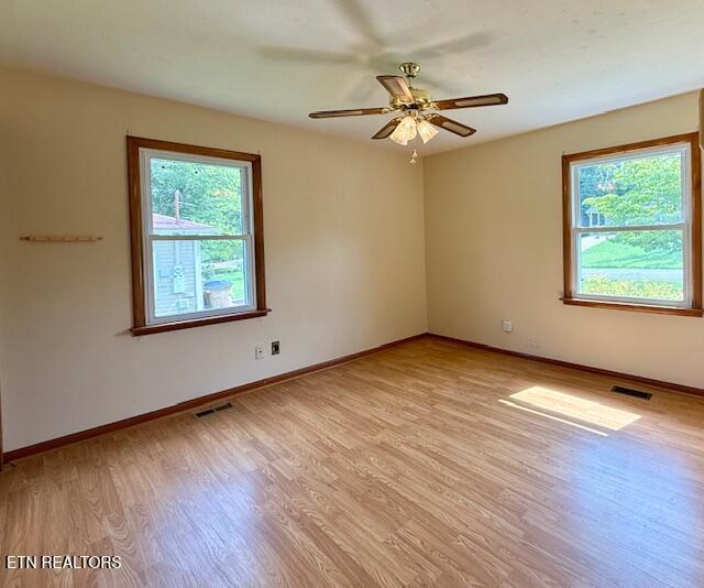 3513 June St, Knoxville, TN 37920 - photo 8