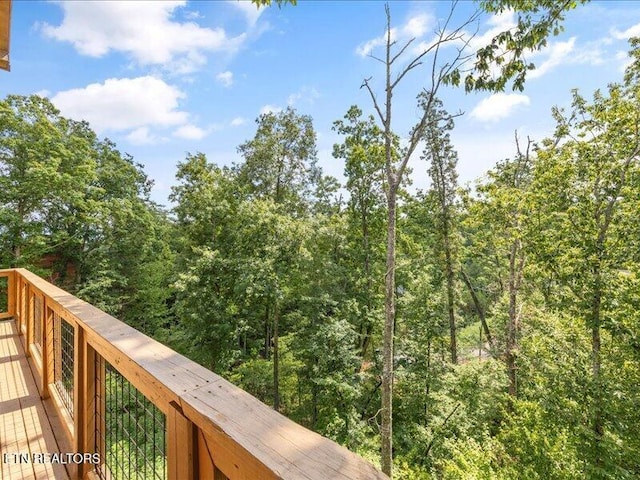 1704 Bear View Rd, Sevierville, TN 37876 - photo 28