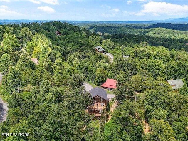 1704 Bear View Rd, Sevierville, TN 37876 - photo 38