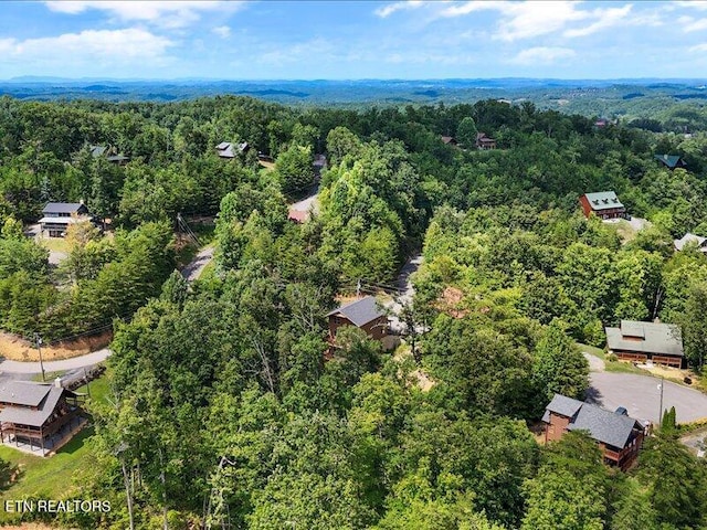 1704 Bear View Rd, Sevierville, TN 37876 - photo 39