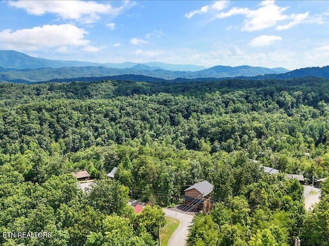 1704 Bear View Rd, Sevierville, TN 37876 - photo 40