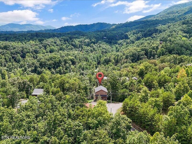 1704 Bear View Rd, Sevierville, TN 37876 - photo 41