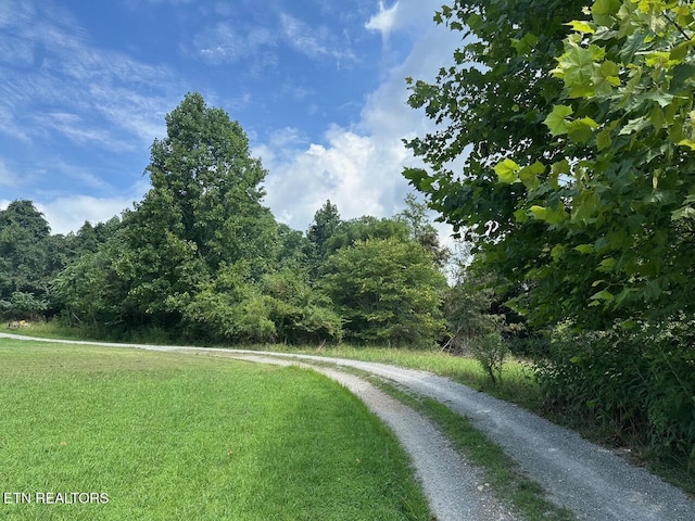 233 Watkins Ln, Jacksboro, TN 37757 - photo 2