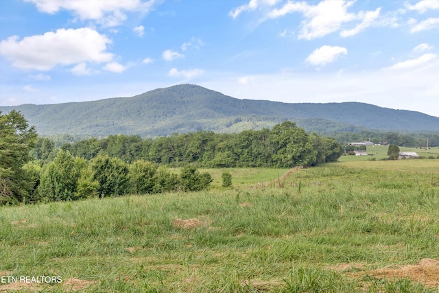 2992 Knoxville Hwy, Wartburg, TN 37887 - photo 49