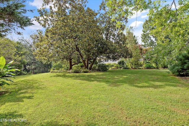 2992 Knoxville Hwy, Wartburg, TN 37887 - photo 45