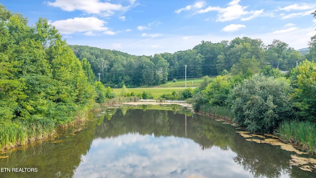 2992 Knoxville Hwy, Wartburg, TN 37887 - photo 52