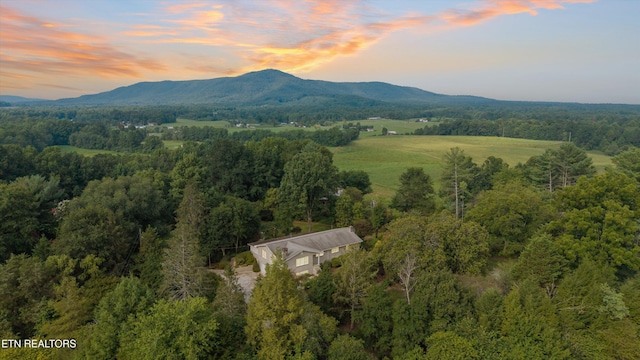 2992 Knoxville Hwy, Wartburg, TN 37887 - photo 4
