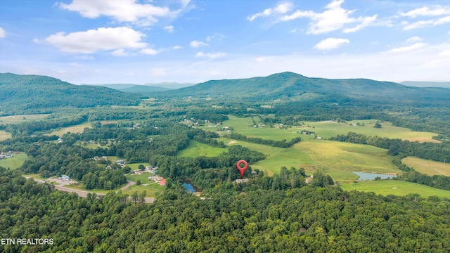 2992 Knoxville Hwy, Wartburg, TN 37887 - photo 58
