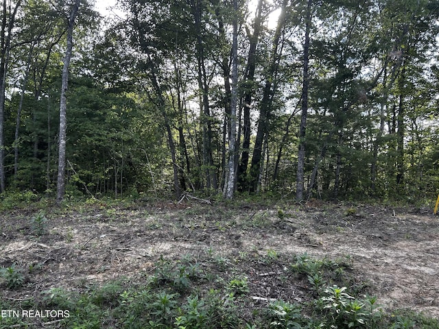 104 Wimberly Rd, Crossville, TN 38558 - photo 1