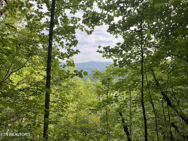 Frost Bottom Rd, Oliver Springs, TN 37840 - photo 3