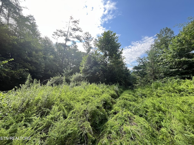 Frost Bottom Rd, Oliver Springs, TN 37840 - photo 4
