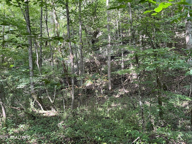 Frost Bottom Rd, Oliver Springs, TN 37840 - photo 14