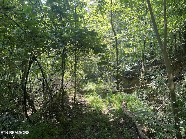 Frost Bottom Rd, Oliver Springs, TN 37840 - photo 15