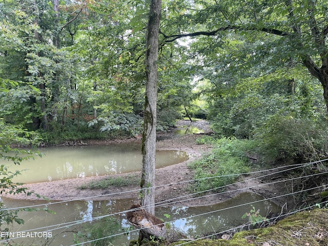Frost Bottom Rd, Oliver Springs, TN 37840 - photo 11