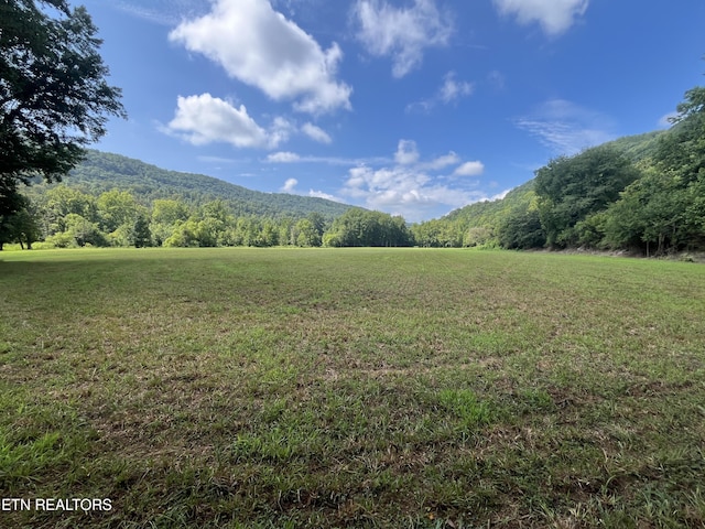 Frost Bottom Rd, Oliver Springs, TN 37840 - photo 2