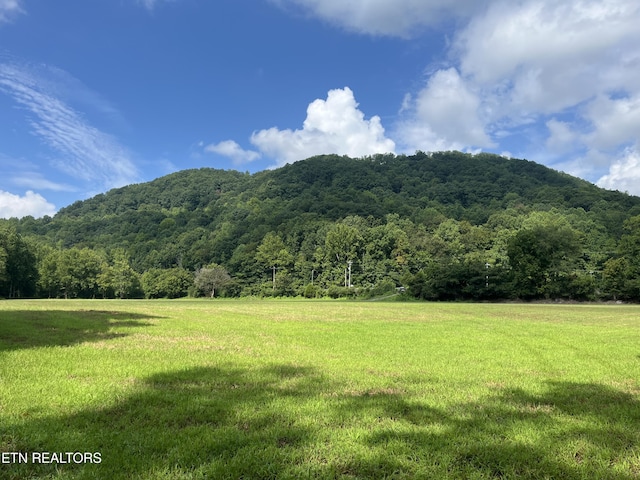 Frost Bottom Rd, Oliver Springs, TN 37840 - photo 1