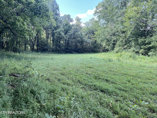 Frost Bottom Rd, Oliver Springs, TN 37840 - photo 16
