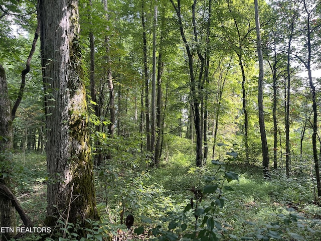 Frost Bottom Rd, Oliver Springs, TN 37840 - photo 10