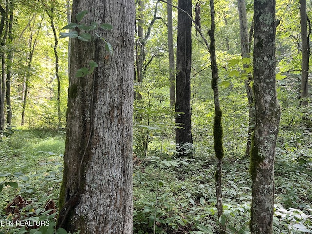 Frost Bottom Rd, Oliver Springs, TN 37840 - photo 17