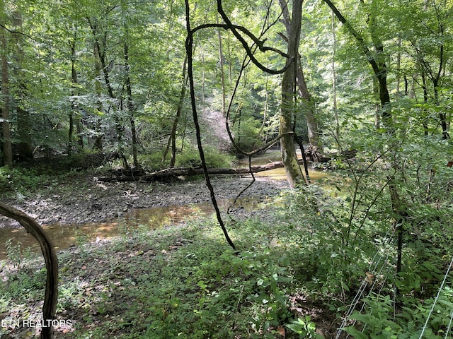 Frost Bottom Rd, Oliver Springs, TN 37840 - photo 7