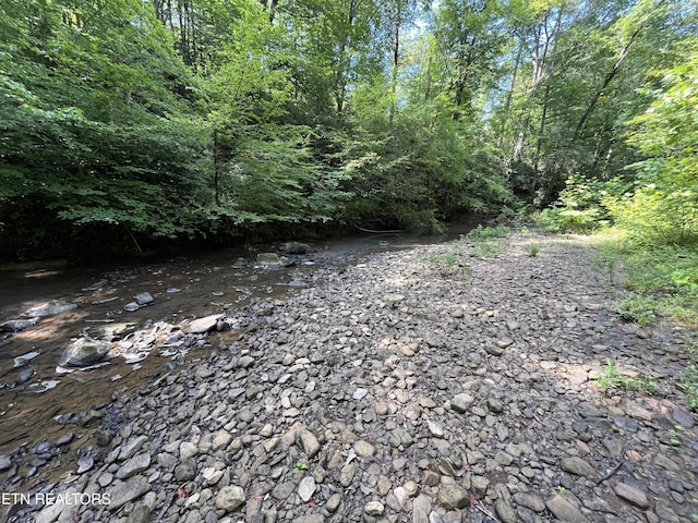 Frost Bottom Rd, Oliver Springs, TN 37840 - photo 8