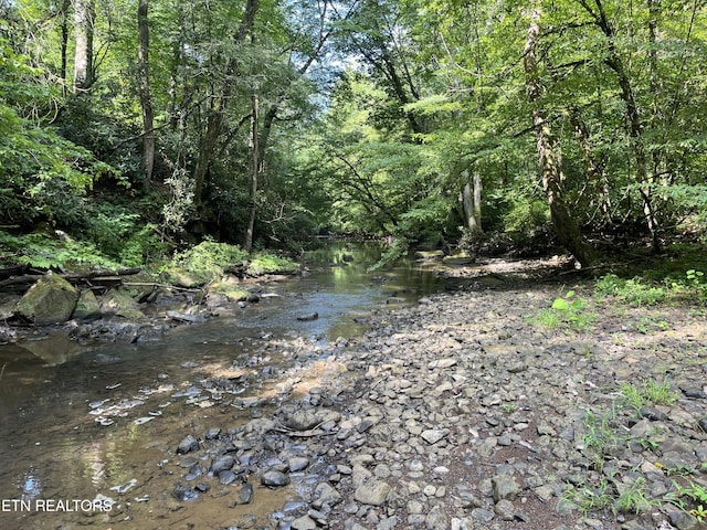 Frost Bottom Rd, Oliver Springs, TN 37840 - photo 9