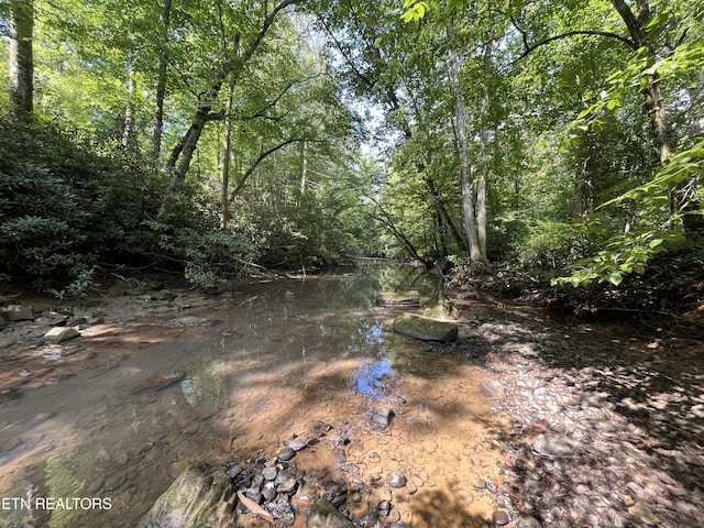 Frost Bottom Rd, Oliver Springs, TN 37840 - photo 5