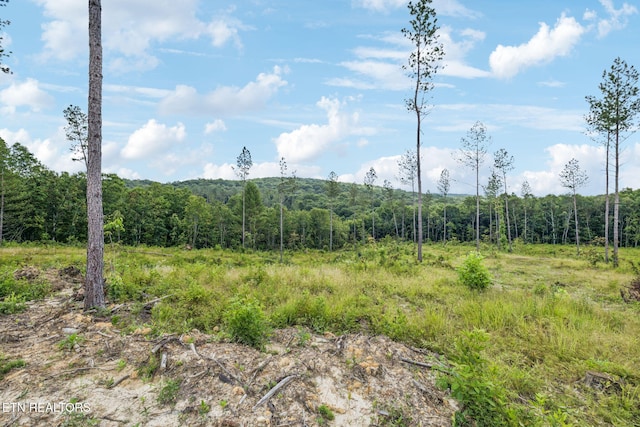 Burville Rd, Sunbright, TN 37872 - photo 4