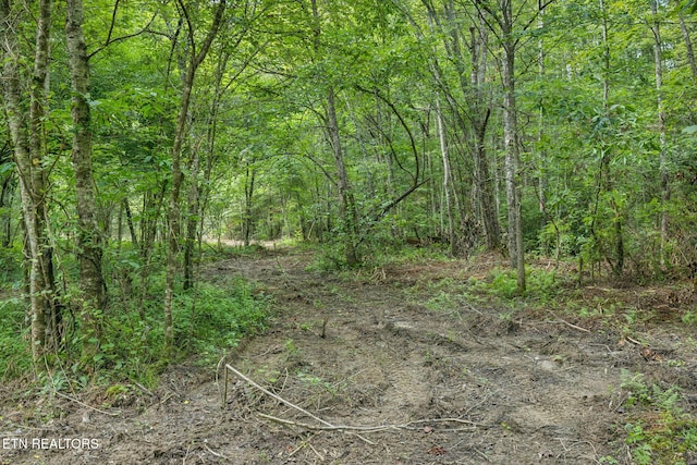 Burville Rd, Sunbright, TN 37872 - photo 8