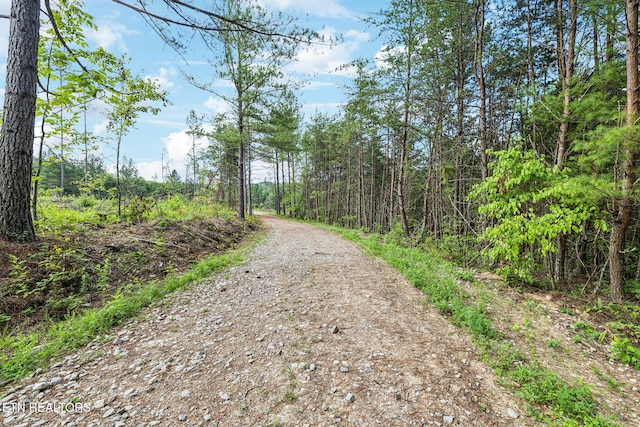 Burville Rd, Sunbright, TN 37872 - photo 14