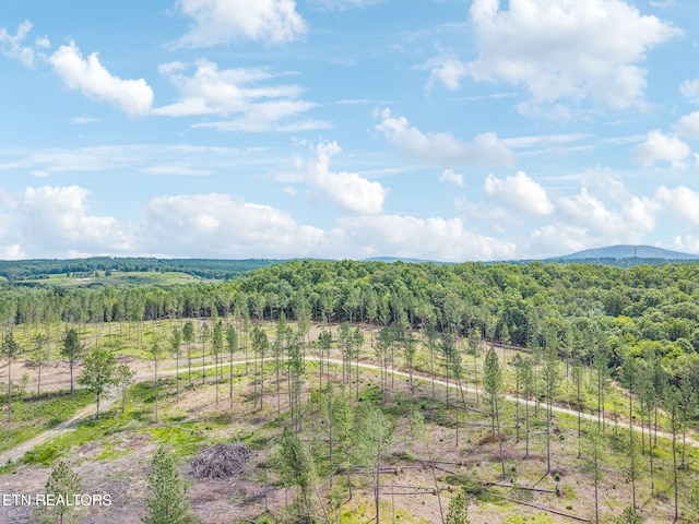 Burville Rd, Sunbright, TN 37872 - photo 16