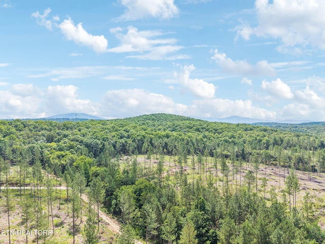 Burville Rd, Sunbright, TN 37872 - photo 17