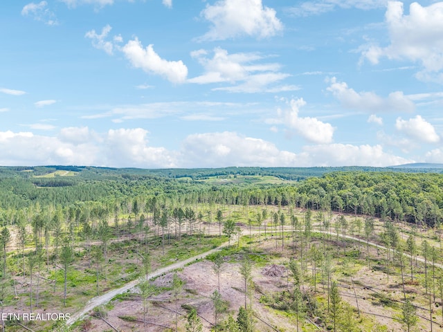 Burville Rd, Sunbright, TN 37872 - photo 18