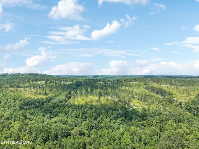 Burville Rd, Sunbright, TN 37872 - photo 20