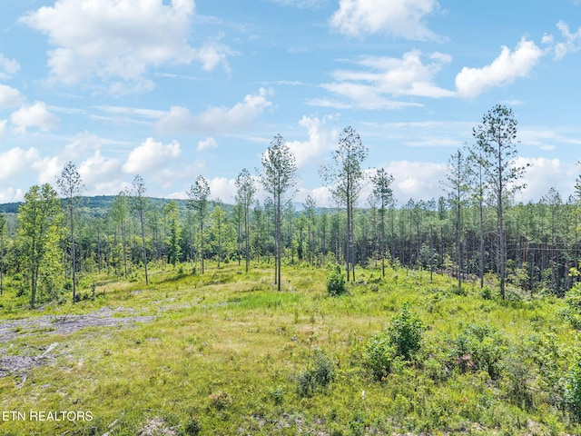 Burville Rd, Sunbright, TN 37872 - photo 25