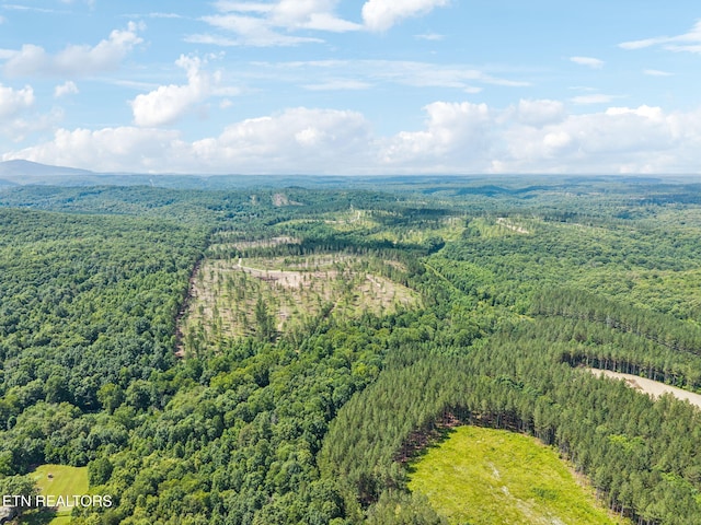 Burville Rd, Sunbright, TN 37872 - photo 33