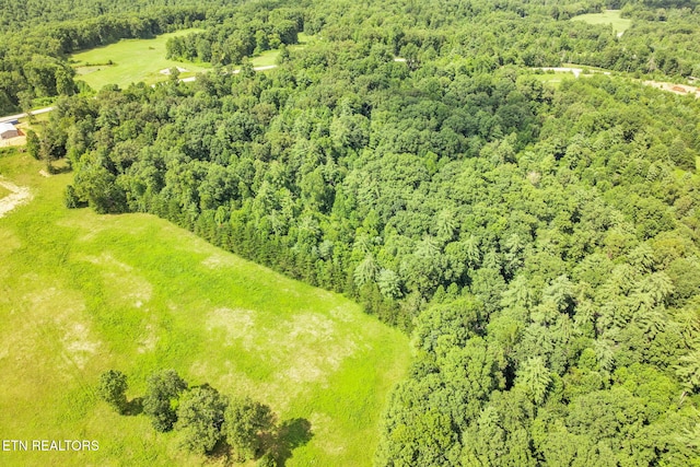 Nashville Hwy, Deer Lodge, TN 37726 - photo 10