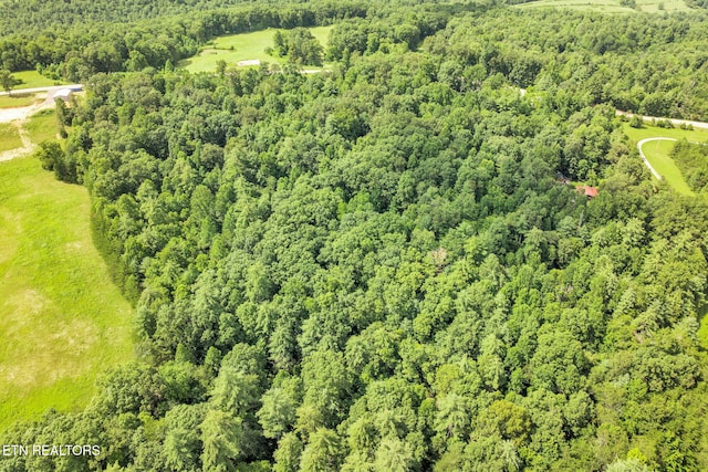 Nashville Hwy, Deer Lodge, TN 37726 - photo 3