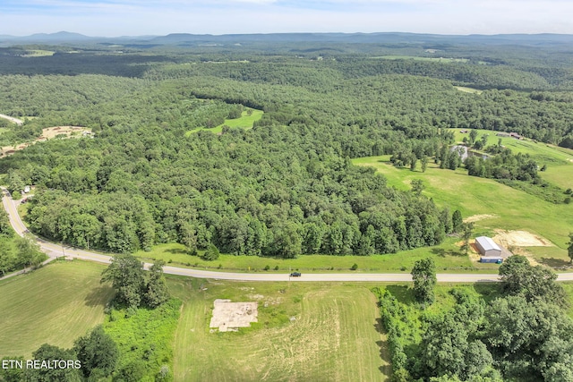 Nashville Hwy, Deer Lodge, TN 37726 - photo 6